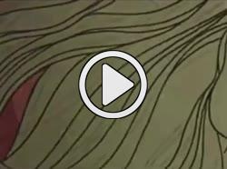 109